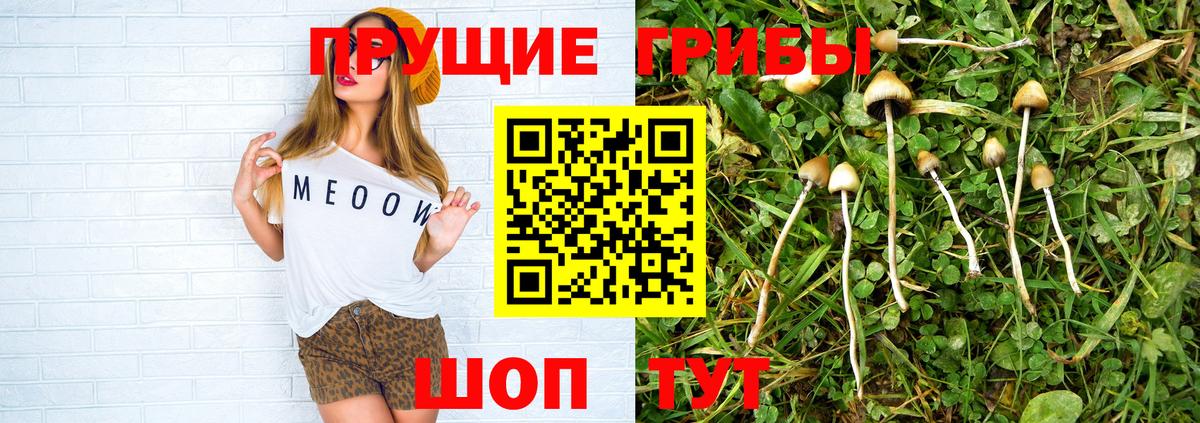 Псилоцибиновые грибы мухоморы  продажа наркотиков  Сердобск  Вход с VPN  Галлюциногенные грибы Psilocybine cubensis 