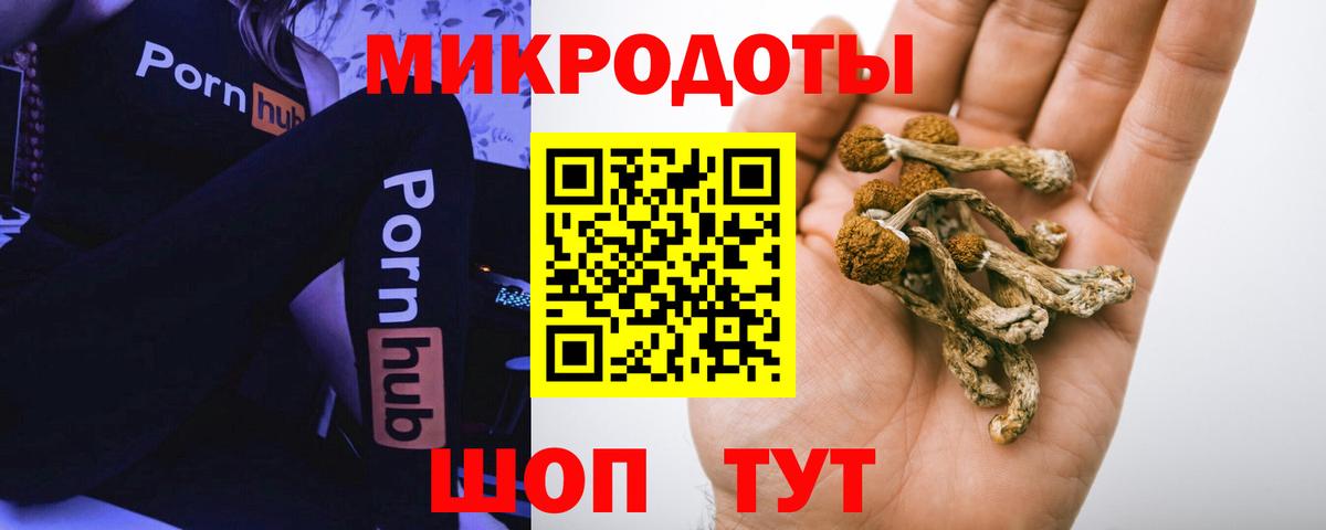 Псилоцибиновые грибы прущие грибы Сердобск